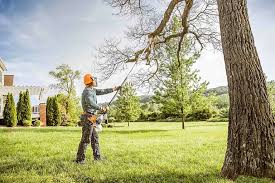 Best Tree Removal Service  in Centralia, IL